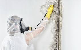 Best Residential Mold Inspection & Testing  in Plano, IL